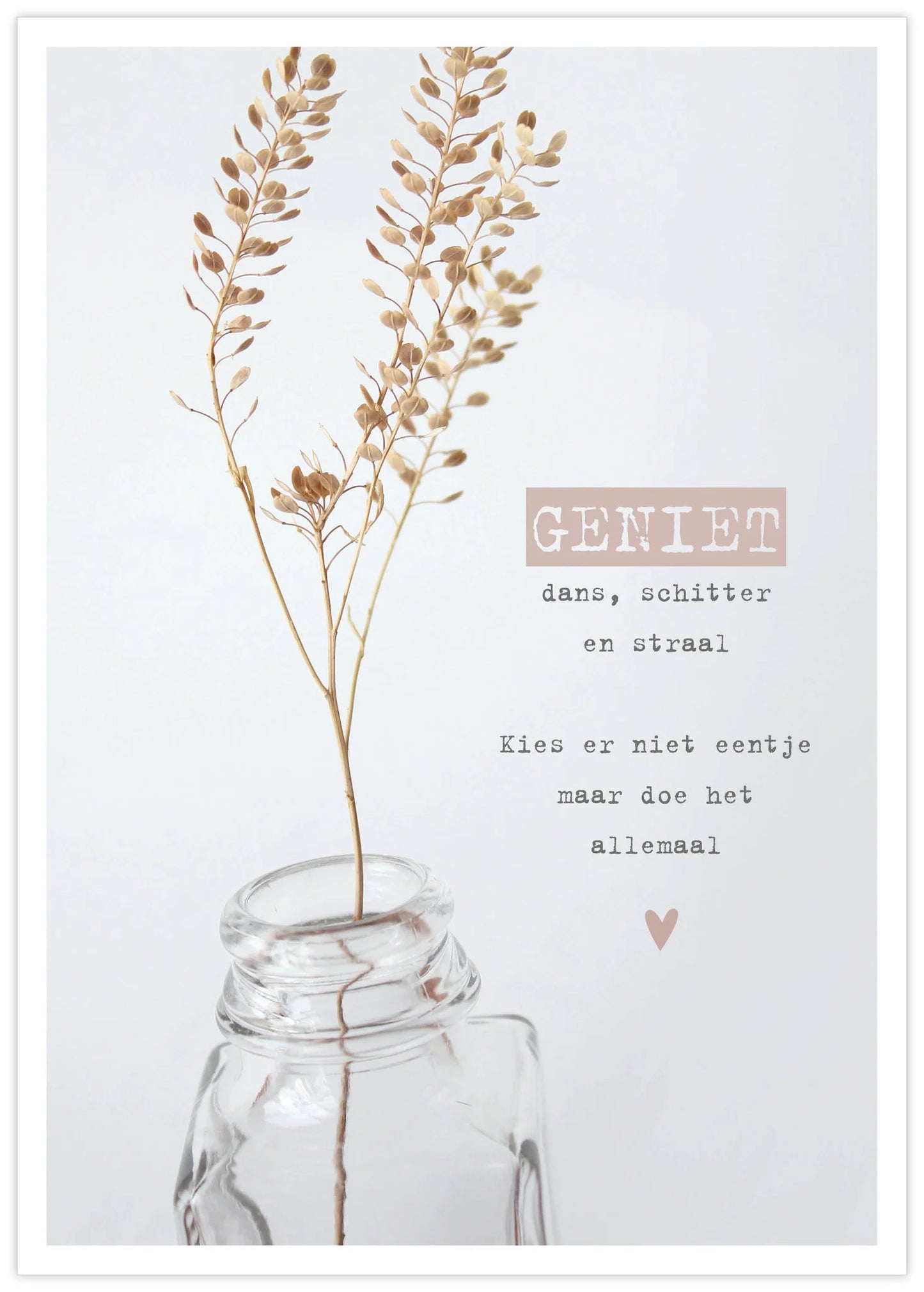 Give-x : poster A4- geniet