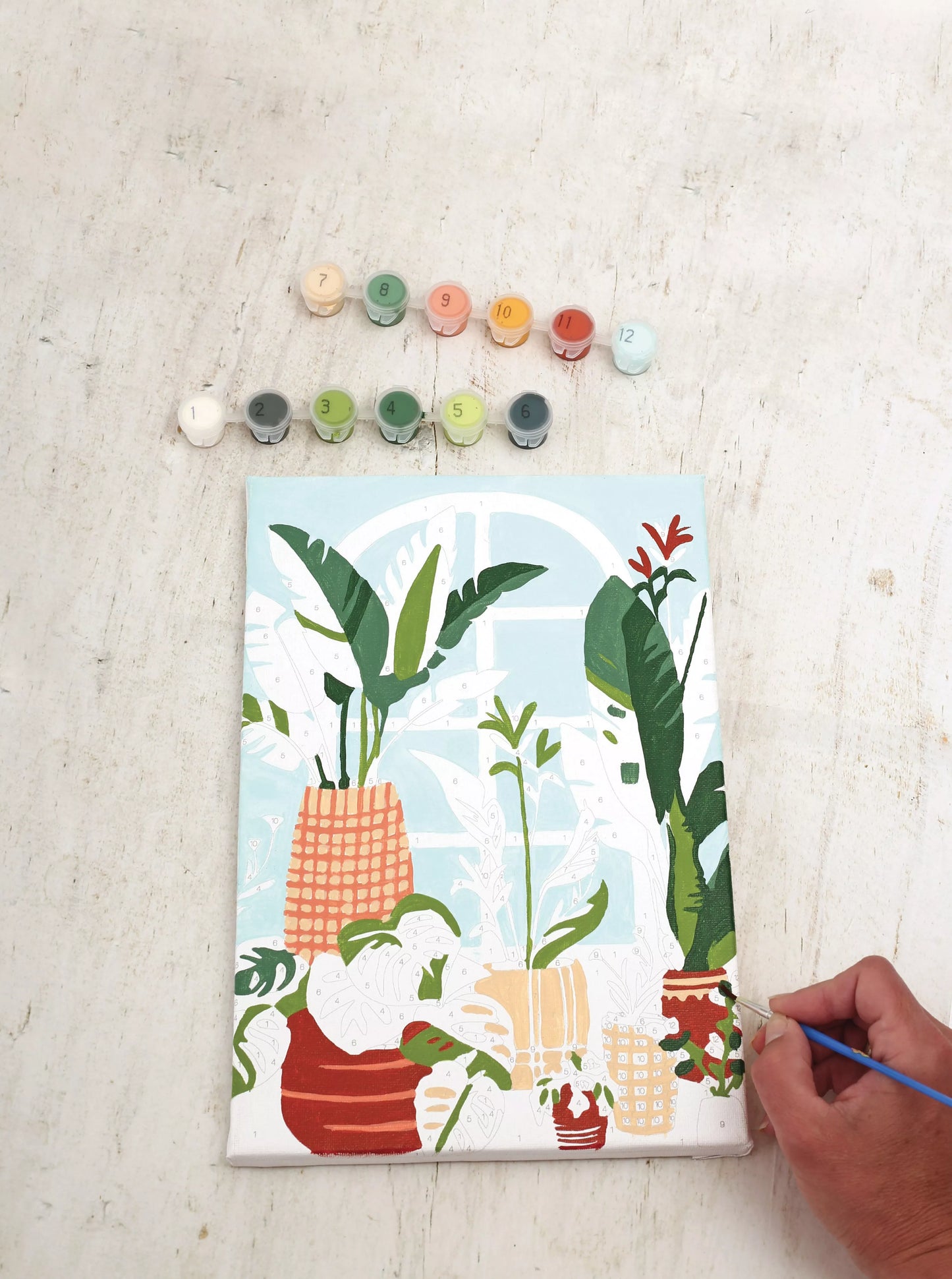 Graine creative : schilderen op nummer - urban jungle