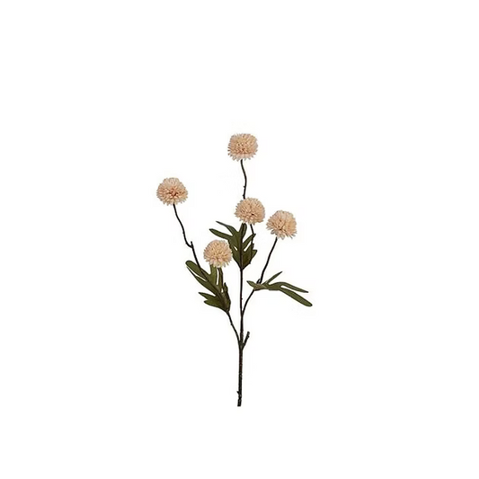 Kunstbloem : pompom - cream