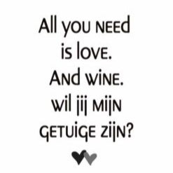 Fun wine labels : wijnetiket - all you need is love ...