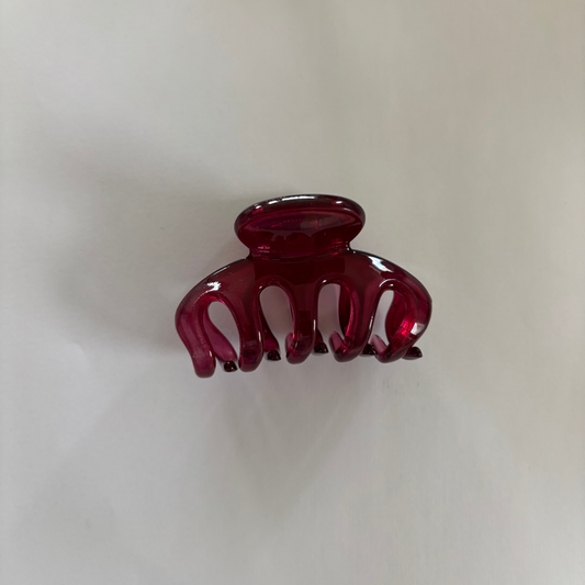 Haarklem : berry