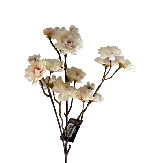 Bloesemtak : sunny - crème