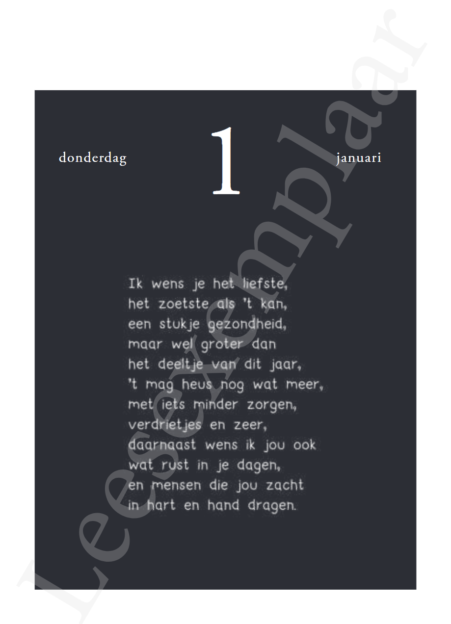 Liz is more : een jaartje vol Liz is more