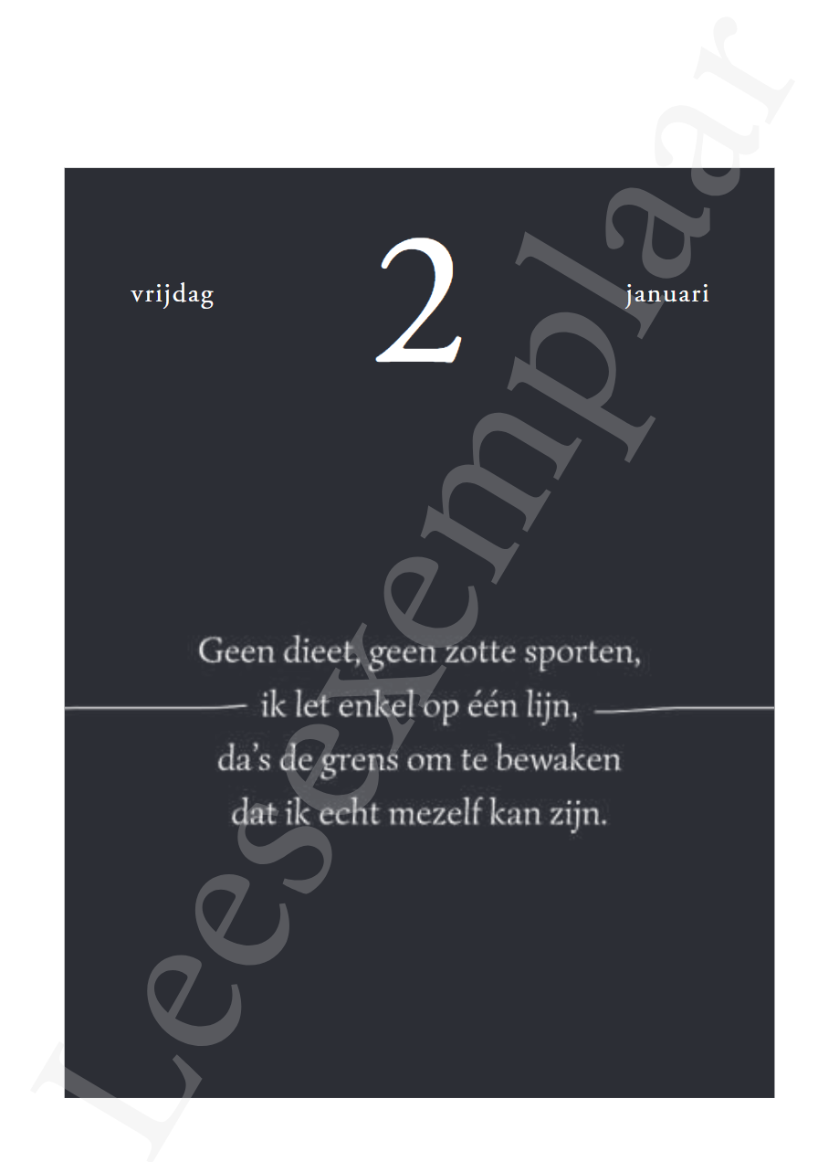 Liz is more : een jaartje vol Liz is more