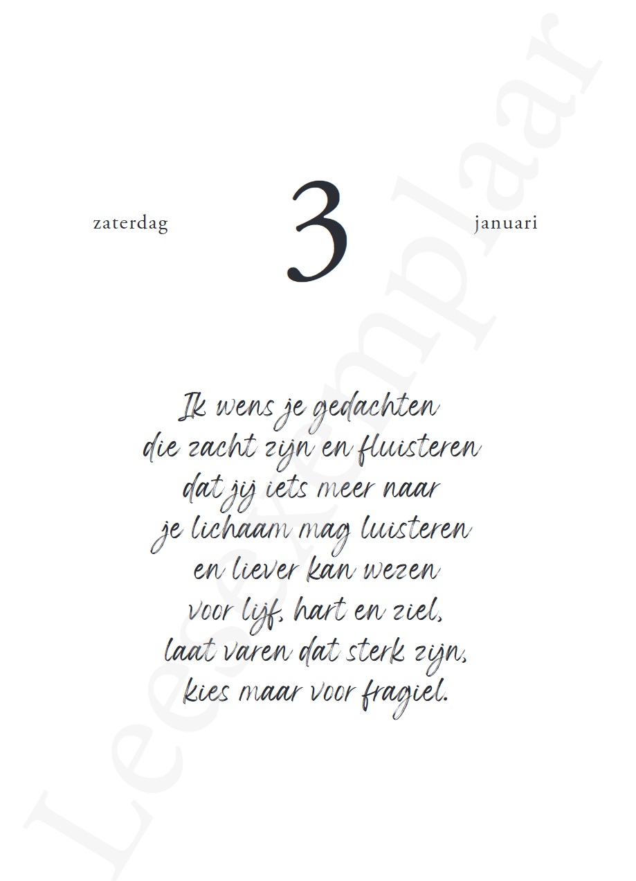 Liz is more : een jaartje vol Liz is more