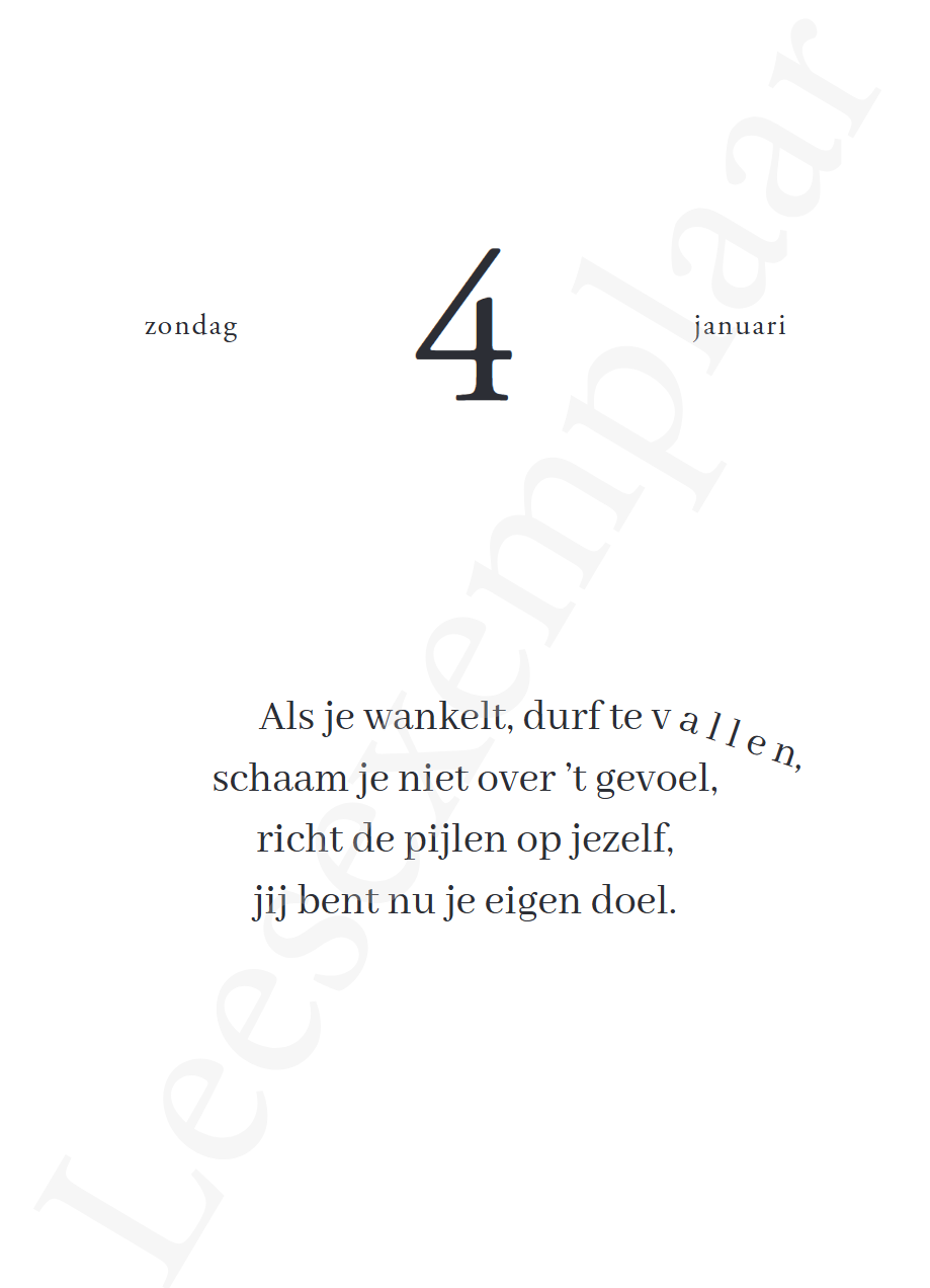 Liz is more : een jaartje vol Liz is more