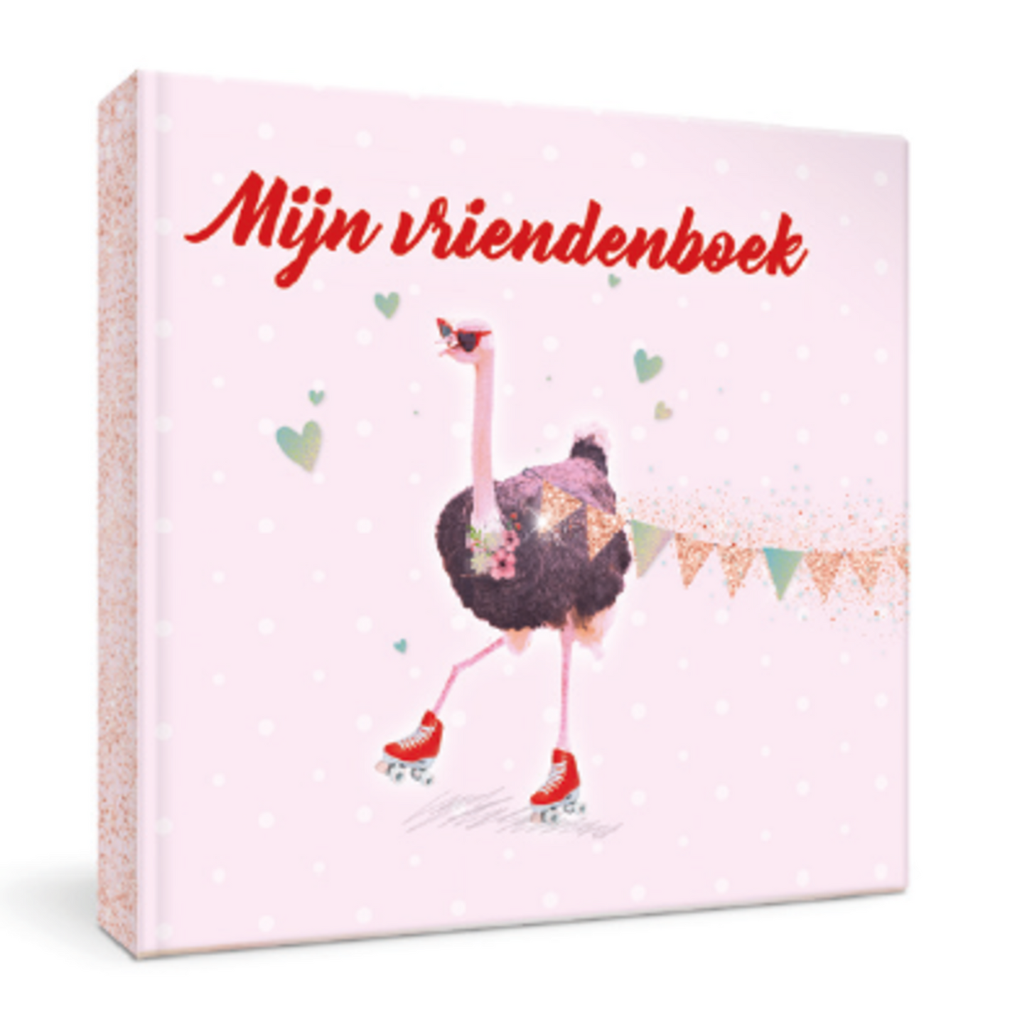 Enfant terrible : mijn vriendenboek