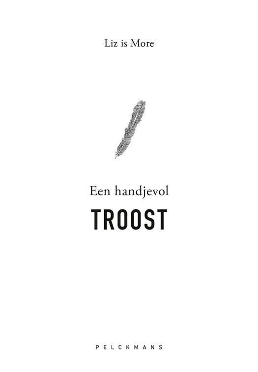 Liz is more : een handjevol troost