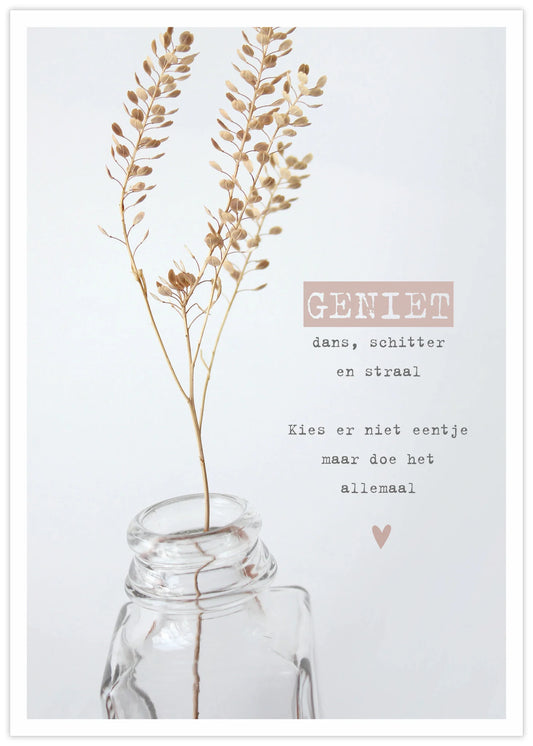 Give-x : poster  A4- geniet